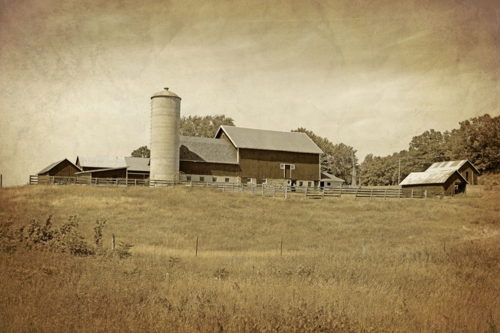 The Farm Picture